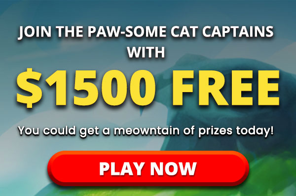 
                                Play it now --> Cats of the Caribbean, $1500 WELCOME BONUS. Turn on your images to see what you’re missing.
                                