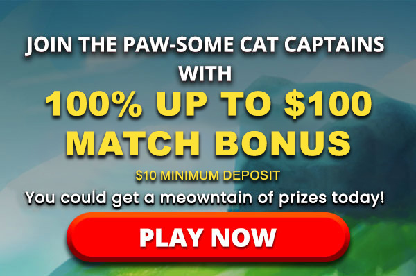 
                                Play it now --> Cats of the Caribbean, WITH 100% UP TO $100 MATCH BONUS $10 MIMIMUM DEPOSIT. Turn on your images to see what you’re missing.
                                
